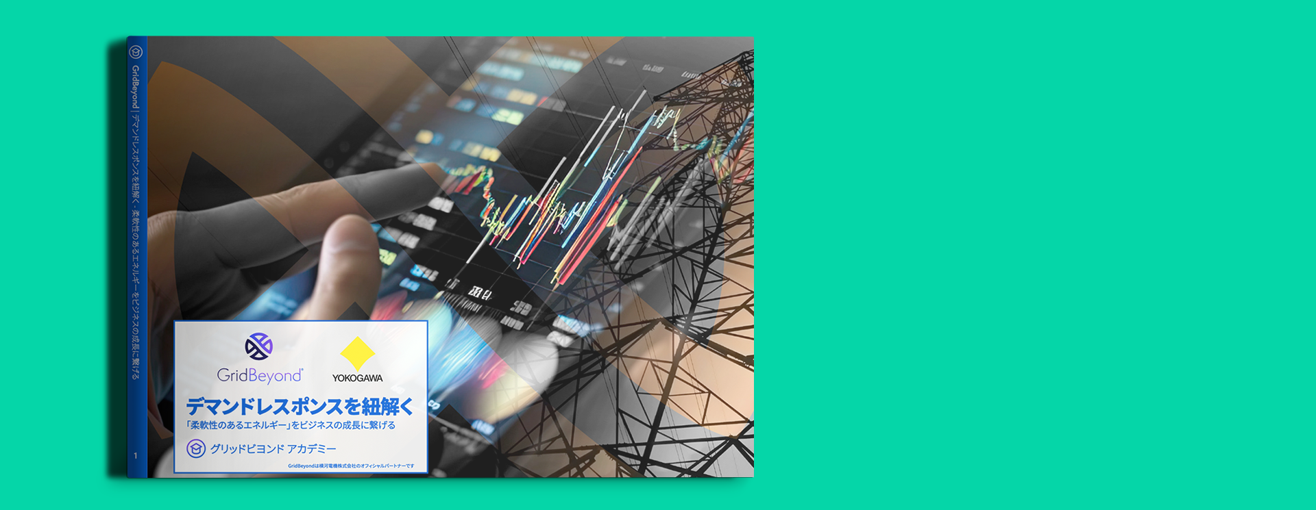 JP Whitepaper Landing Page Banner